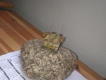 StuG25
