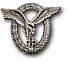 Fliegerführerabzeichen silber neu1