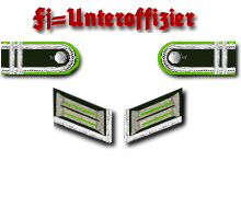 PzGrenadiere Fj Uffz