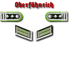 PzGrenadiere Fj ObFäh