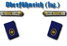 Oberfähnrich zur See Ingenieur