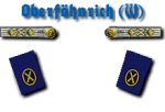 Oberfähnrich zur See Waffen Feuerwerker