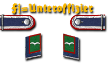 11-Fahnenjunker