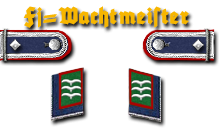 12a-Fj-Feldwebel