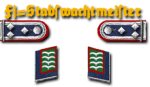 13a-Fj-Stabsfeldwebel