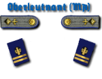 Oberleutnant Marineartillerie