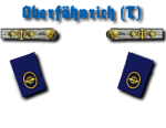 Oberfähnrich zur See Tor