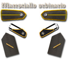 7-Maresciallo-ordinario Artillerie 101Trieste