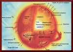 Sun parts big