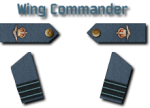 13-Wing Commander