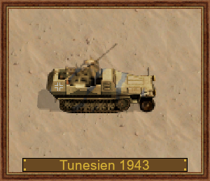 2 cm FlaK 38,Sd.Kfz.251-17C D-1943 Tunesien