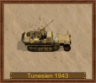 2 cm FlaK 38,Sd.Kfz.251-17C D-1943 Tunesien