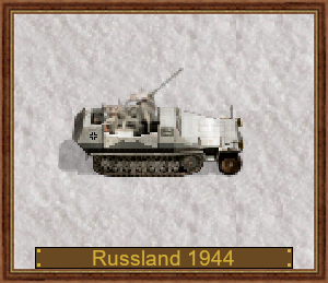 2 cm FlaK 38,Sd.Kfz.251-17C D-1944 Russland