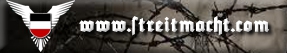 Banner Streitmacht